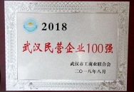 2018武漢民營企業100強